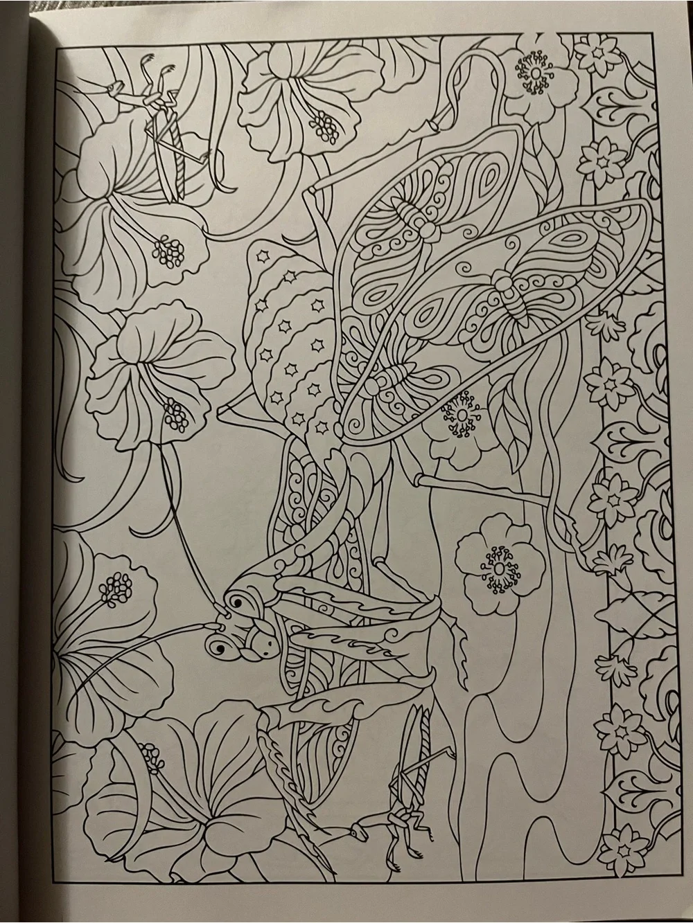 Incredible Insect Designs Coloring Book - Purple & Multicolor